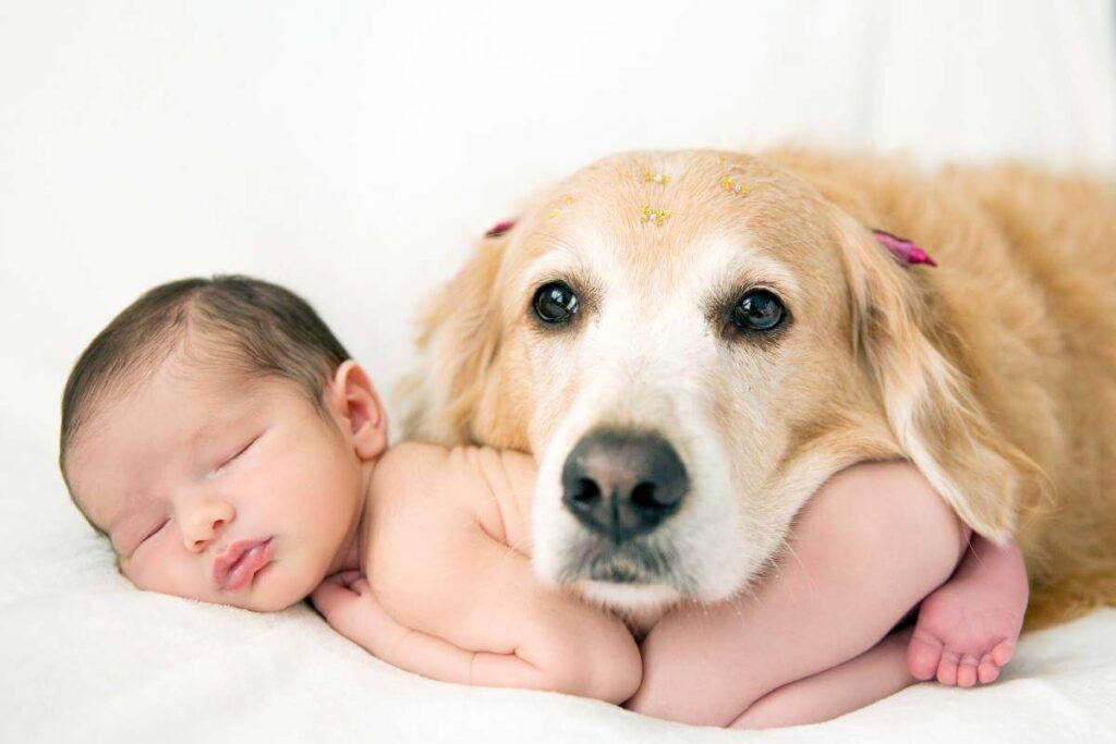 Ensaio newborn profissional com pet